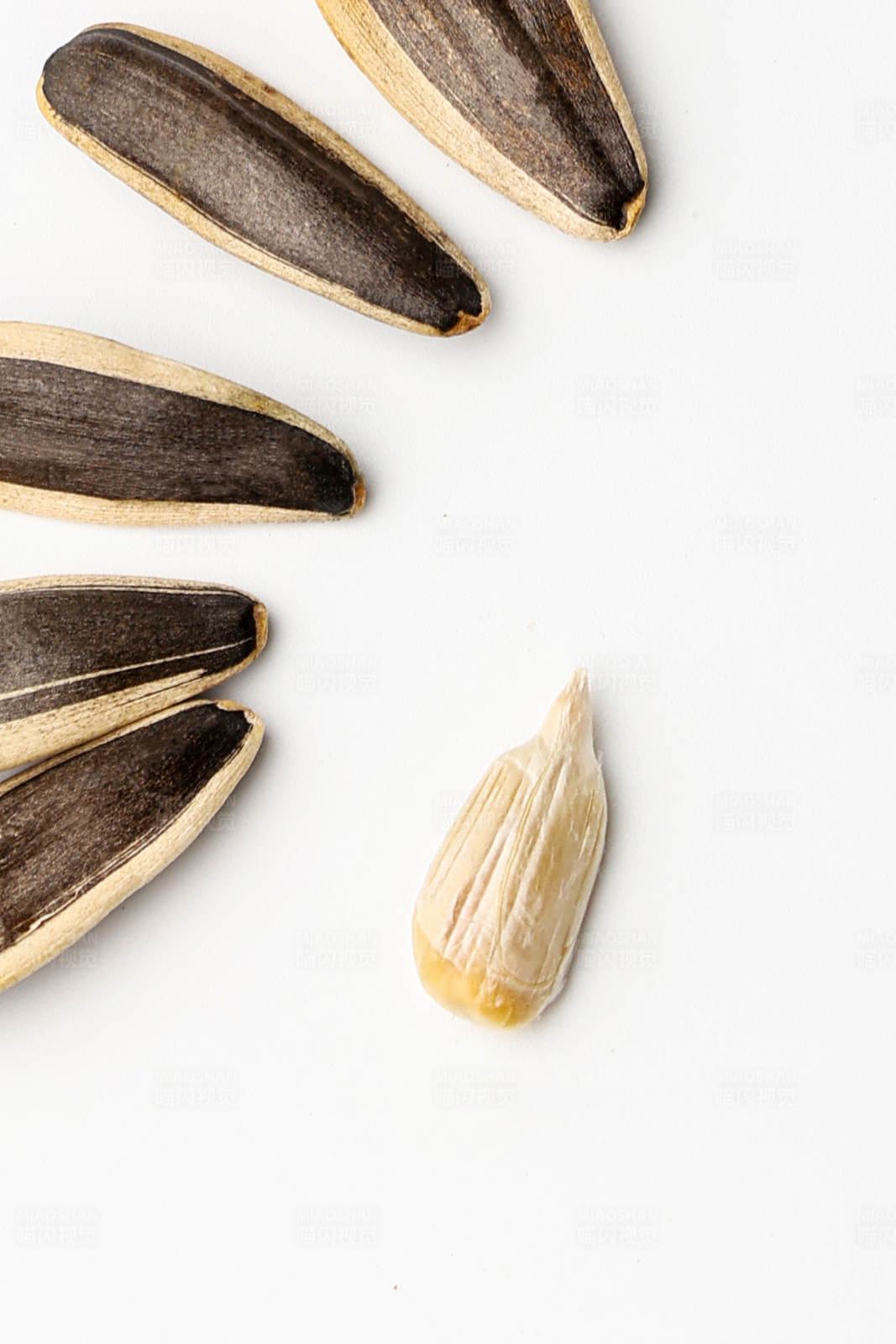 瓜子与果仁图片