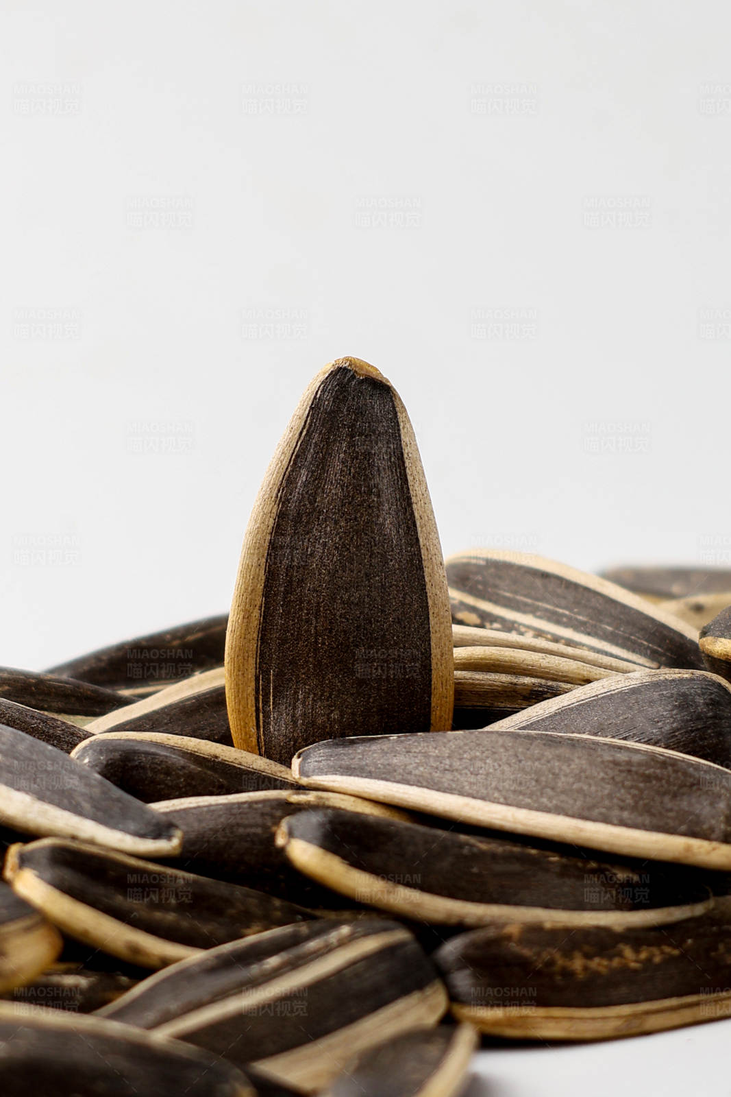 突出的葵花籽图片