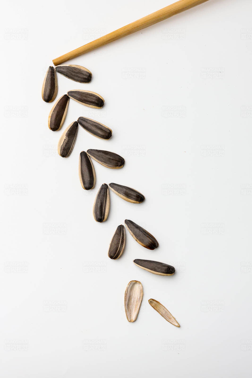 瓜子壳的轨迹图片