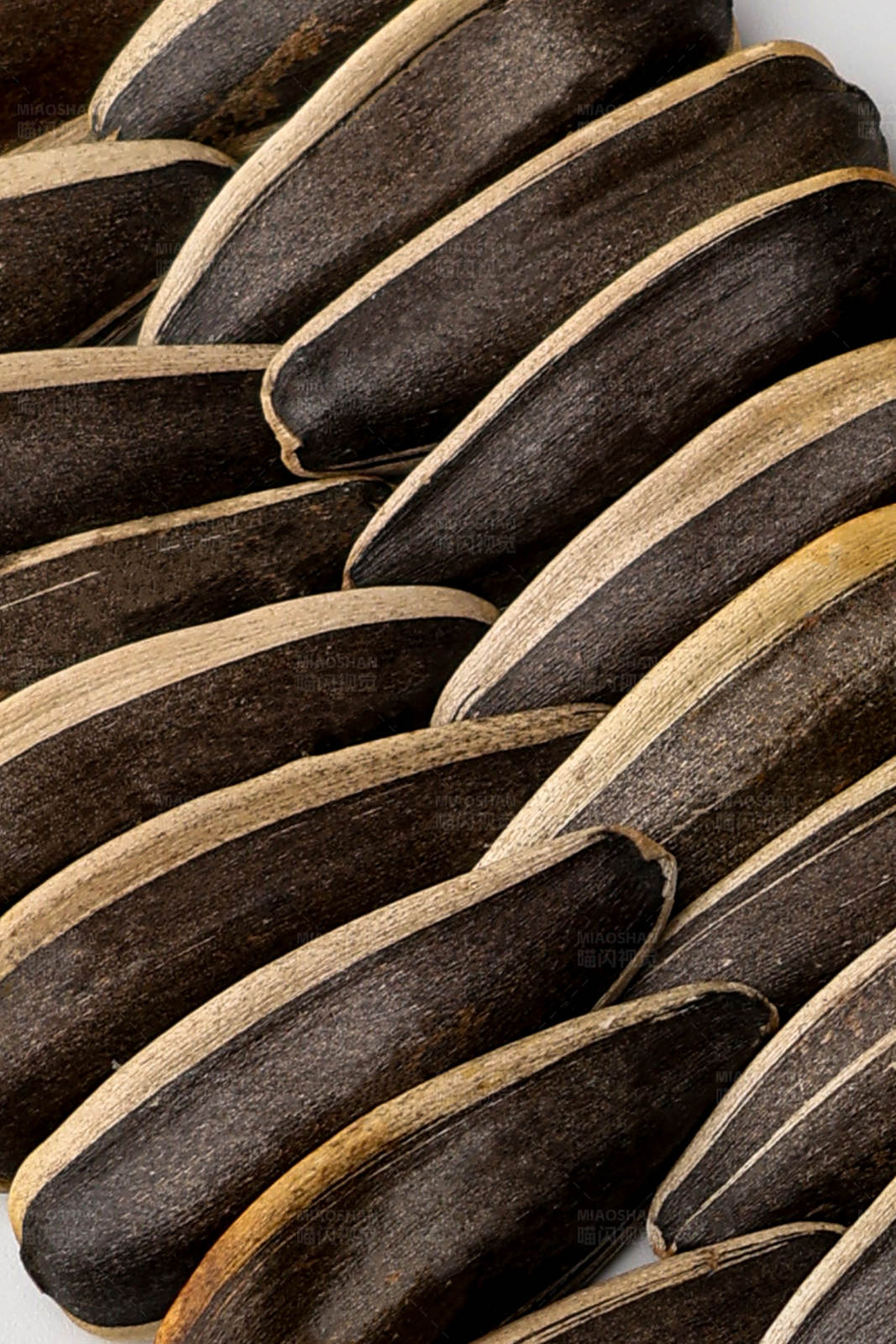 黑芝麻糖饼特写图片