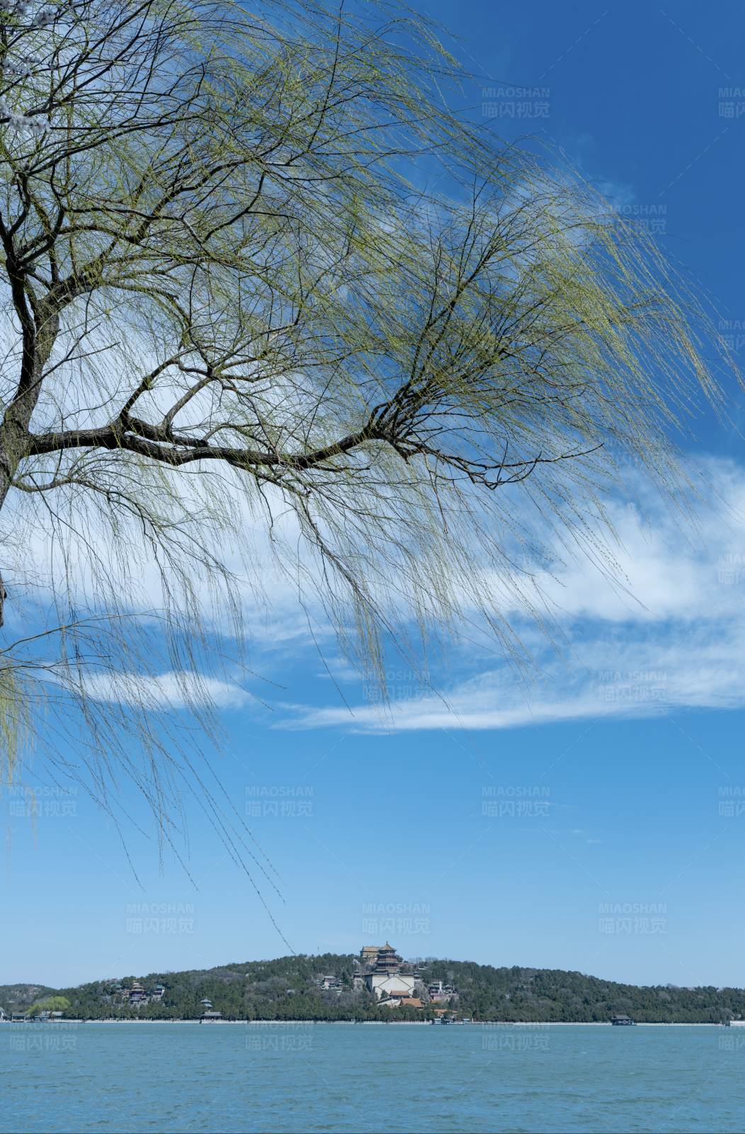 湖畔垂柳 远山古塔图片