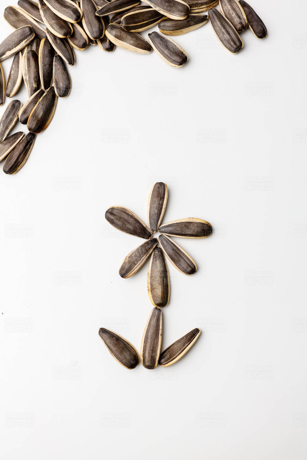 向日葵种子的艺术布局图片