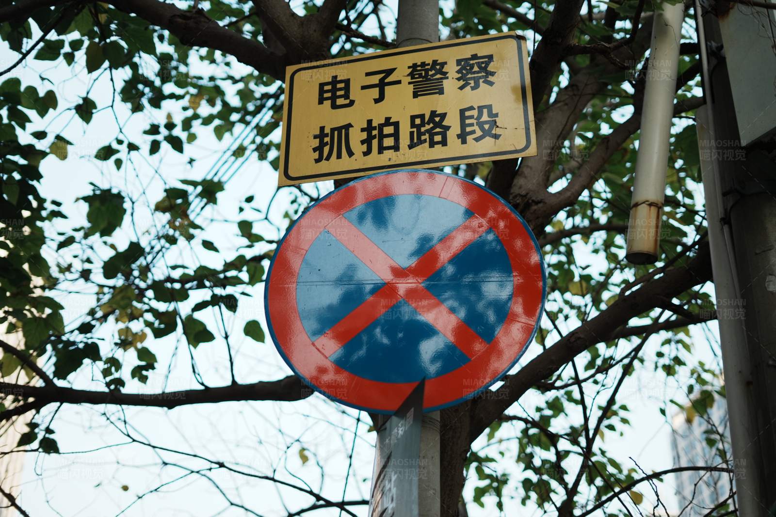 禁止停车标志图片