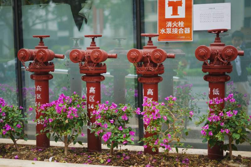 消防栓与花丛图片