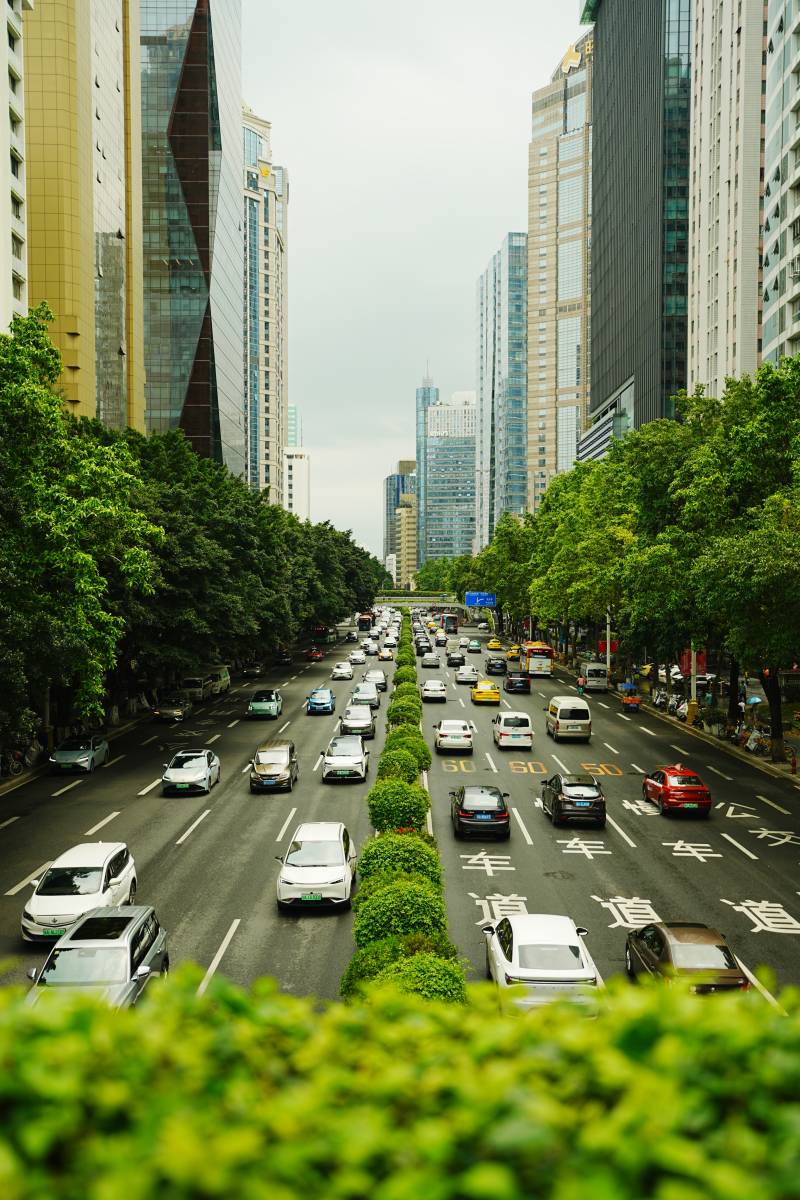 广州城区绿荫下的繁忙交通图片
