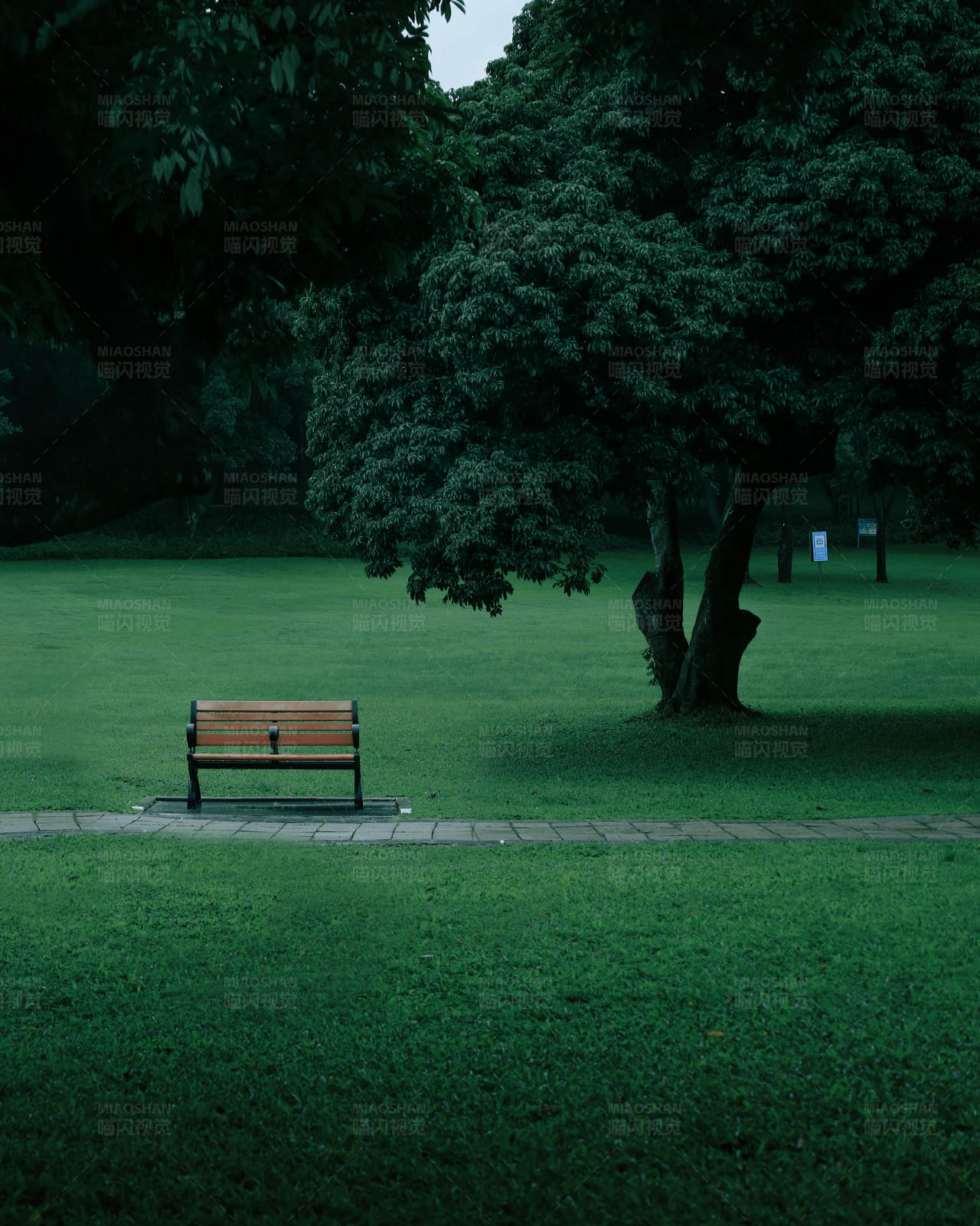 公园长椅与绿树图片