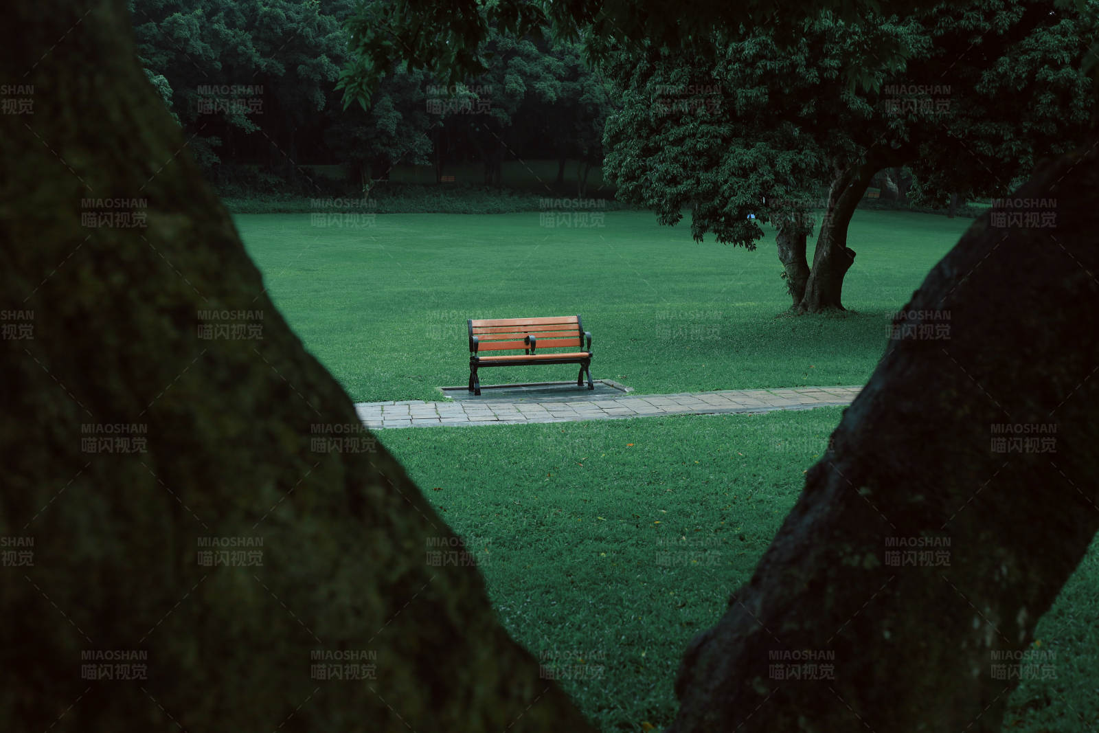 公园长椅静待客图片