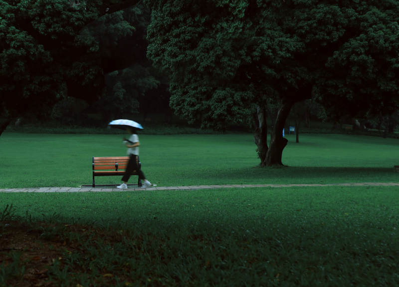 雨中独行图片
