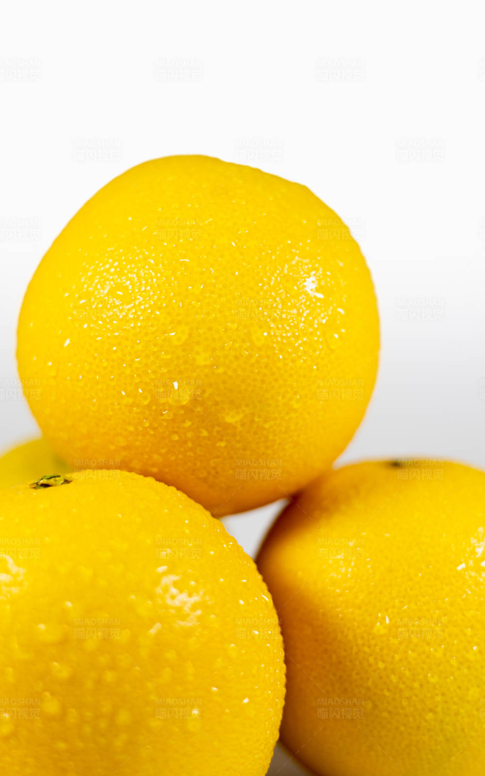 晶莹水珠点缀的橙子图片