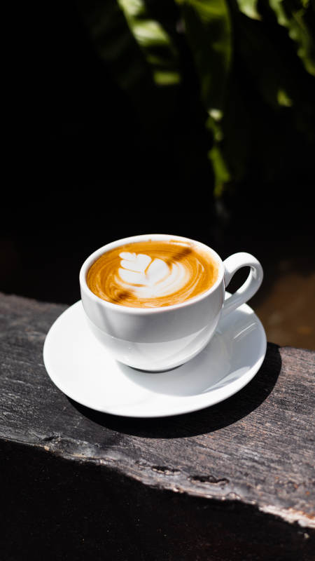 阳光下的拿铁艺术图片