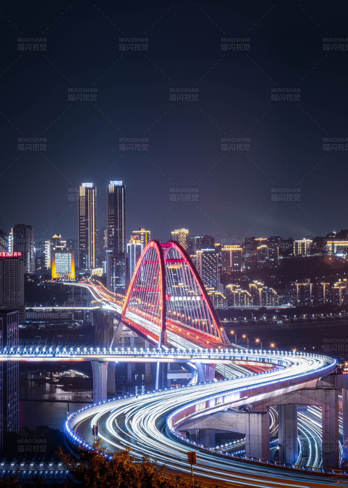 重庆渝中·菜园坝长江大桥图片