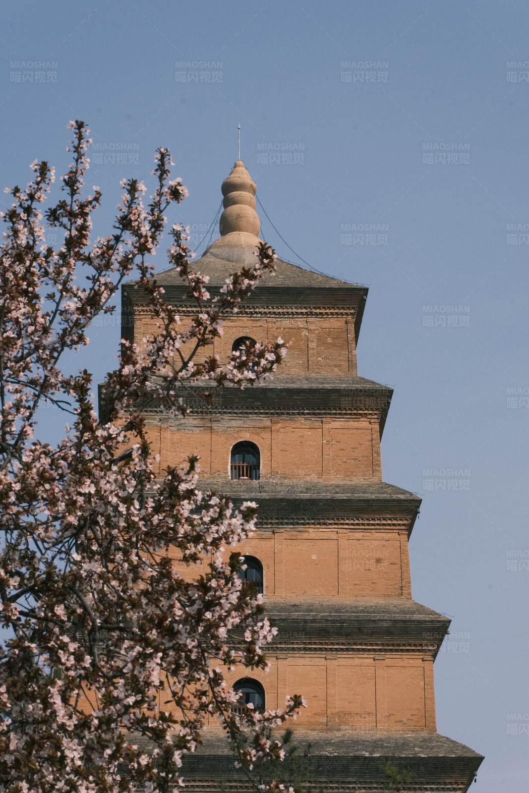 西安大雁塔 图片