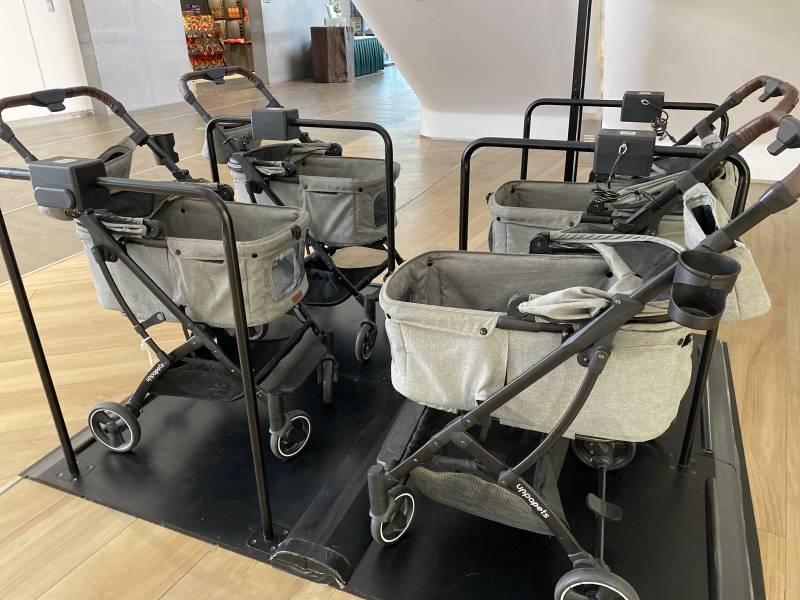 宠物推车展示图片
