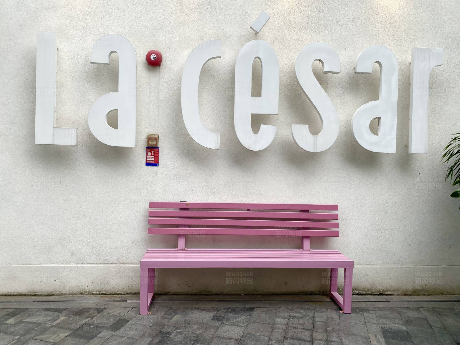 La César前的粉色长椅图片