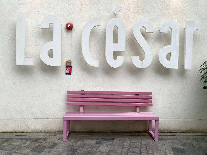 La César前的粉色长椅图片