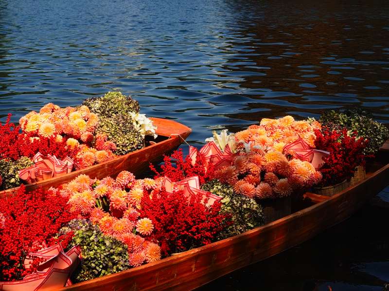 花船浮水 色彩斑斓图片