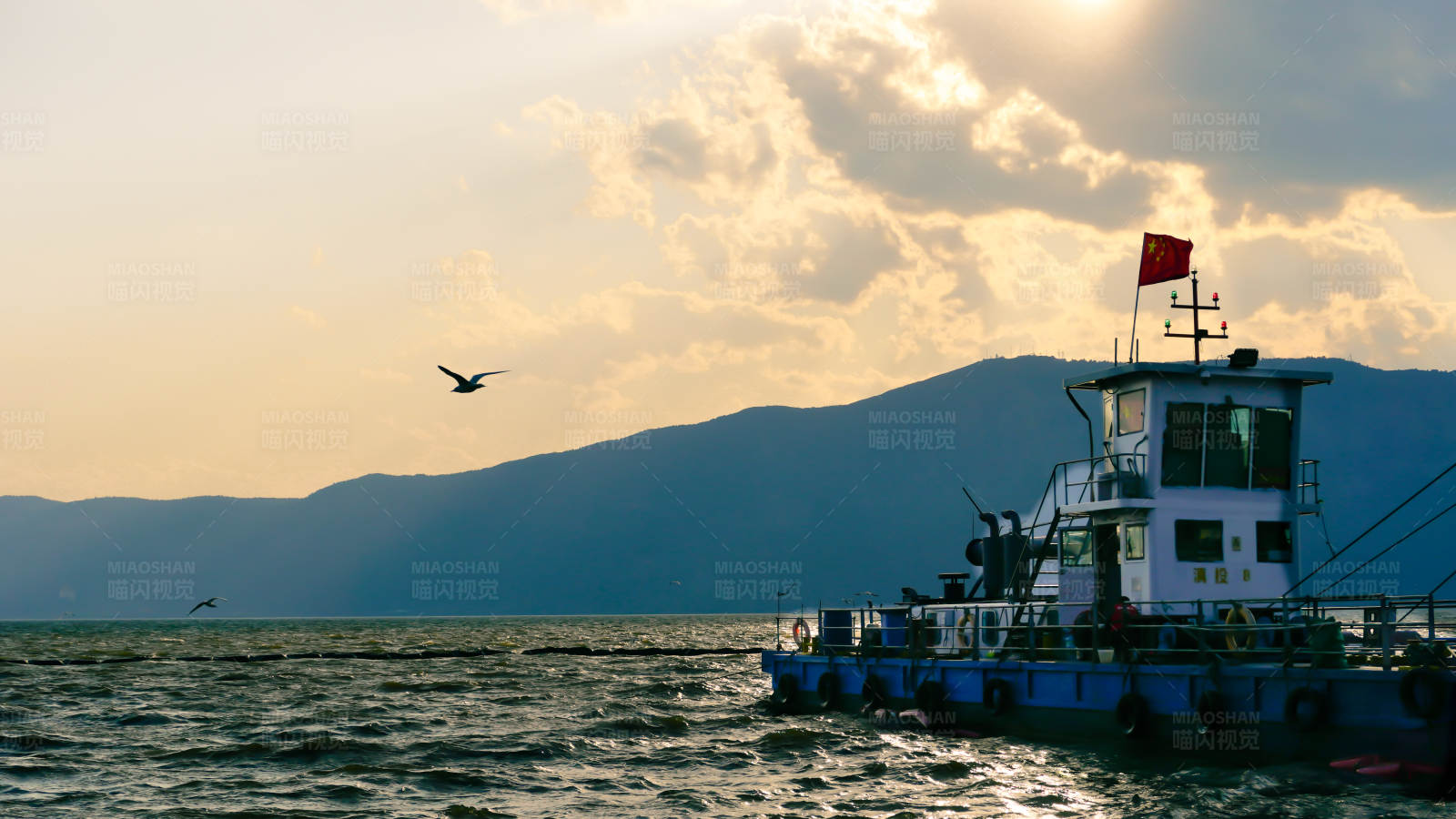 湖上渔船与飞翔的鸟图片