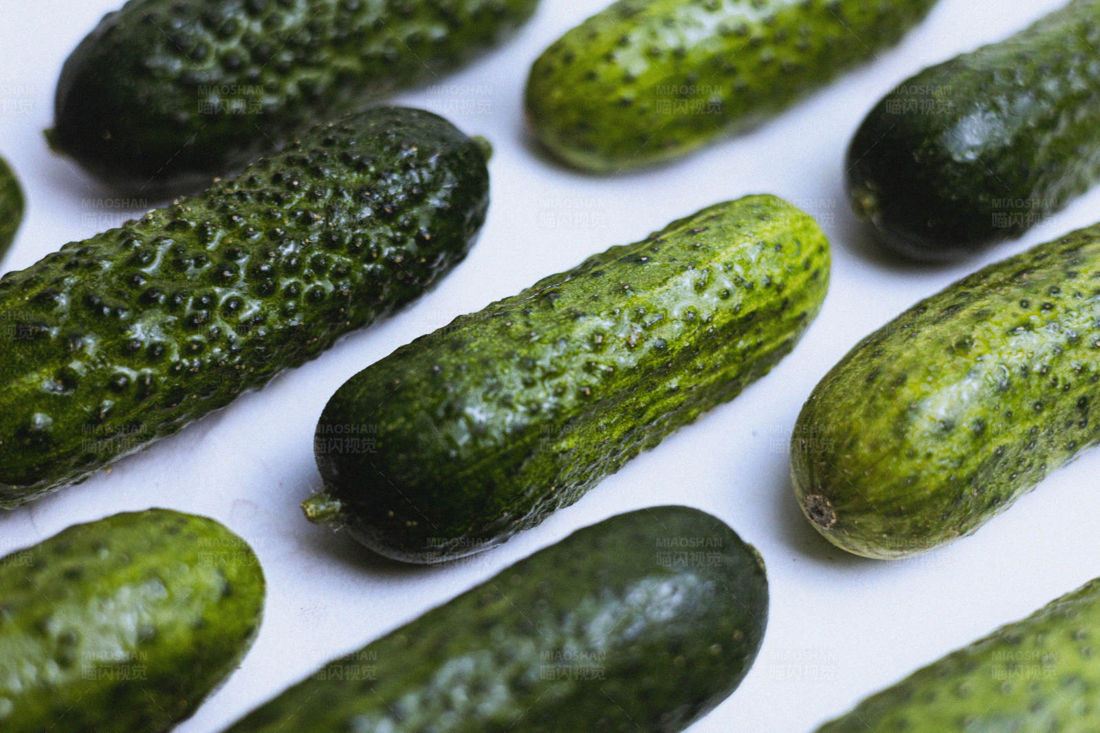 新鲜黄瓜排列整齐图片