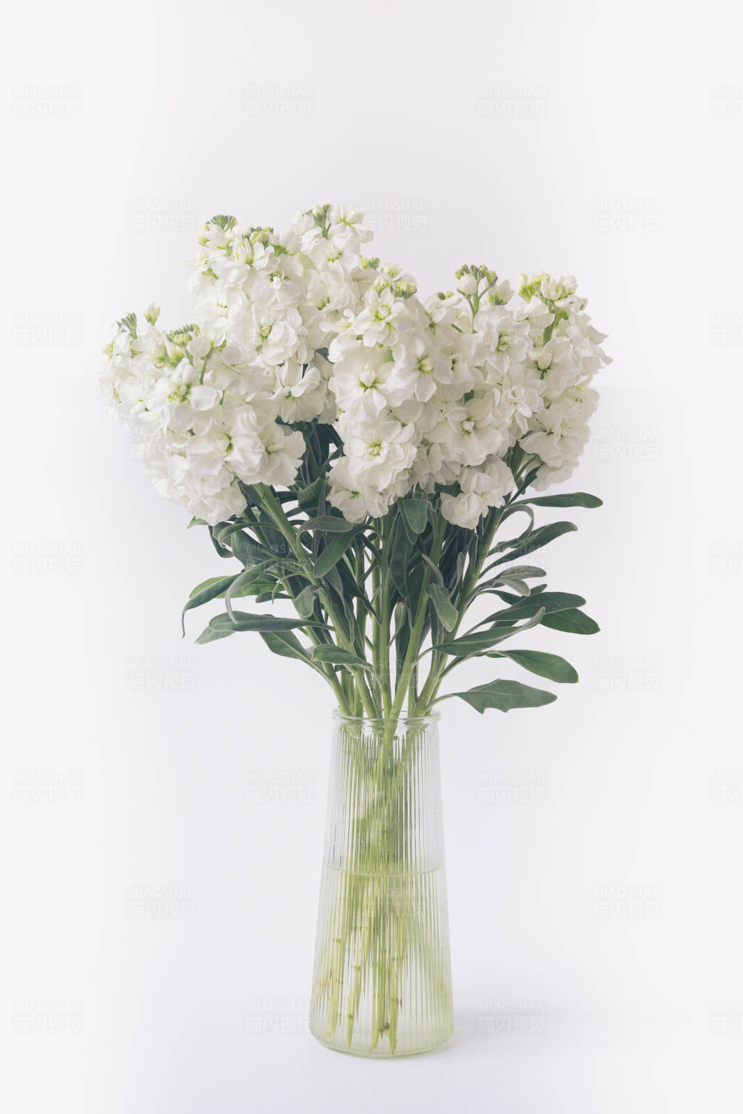 白色花束在透明花瓶图片