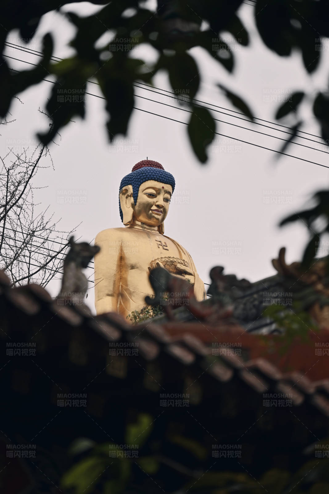 佛像与古建筑图片