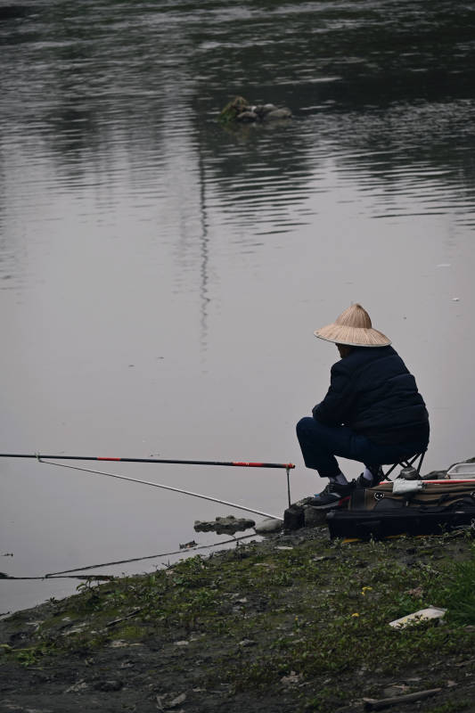 湖边垂钓图片