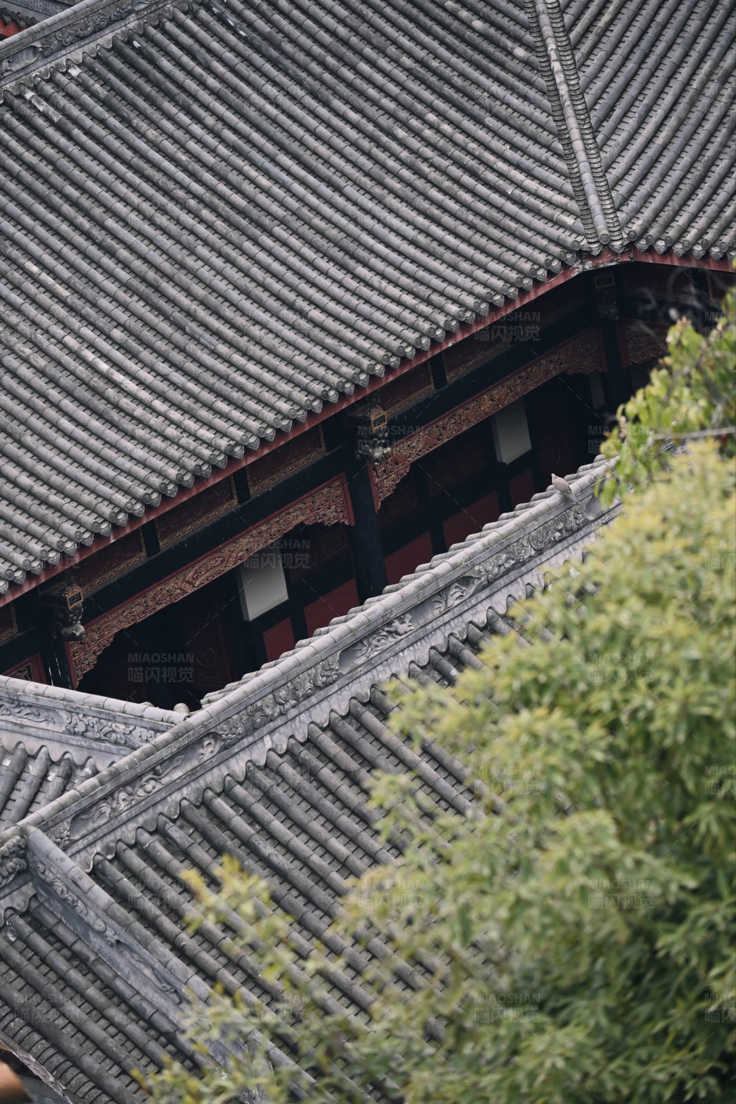 古建筑屋顶与绿树图片