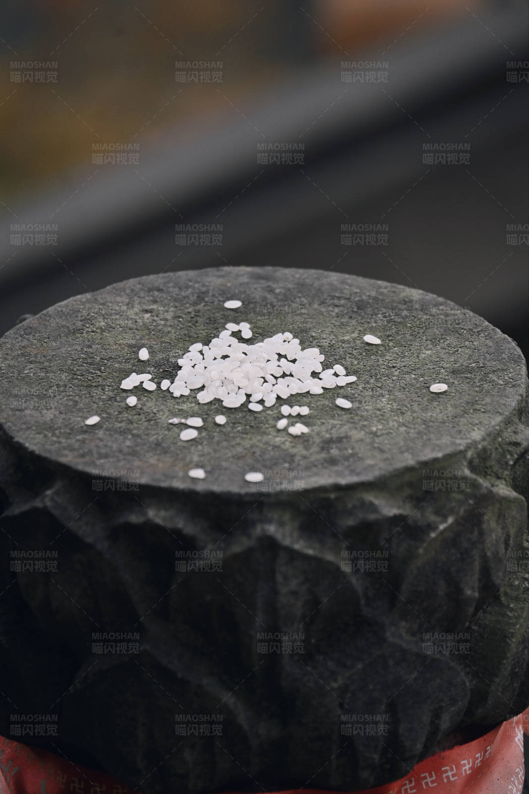 石上白米粒图片
