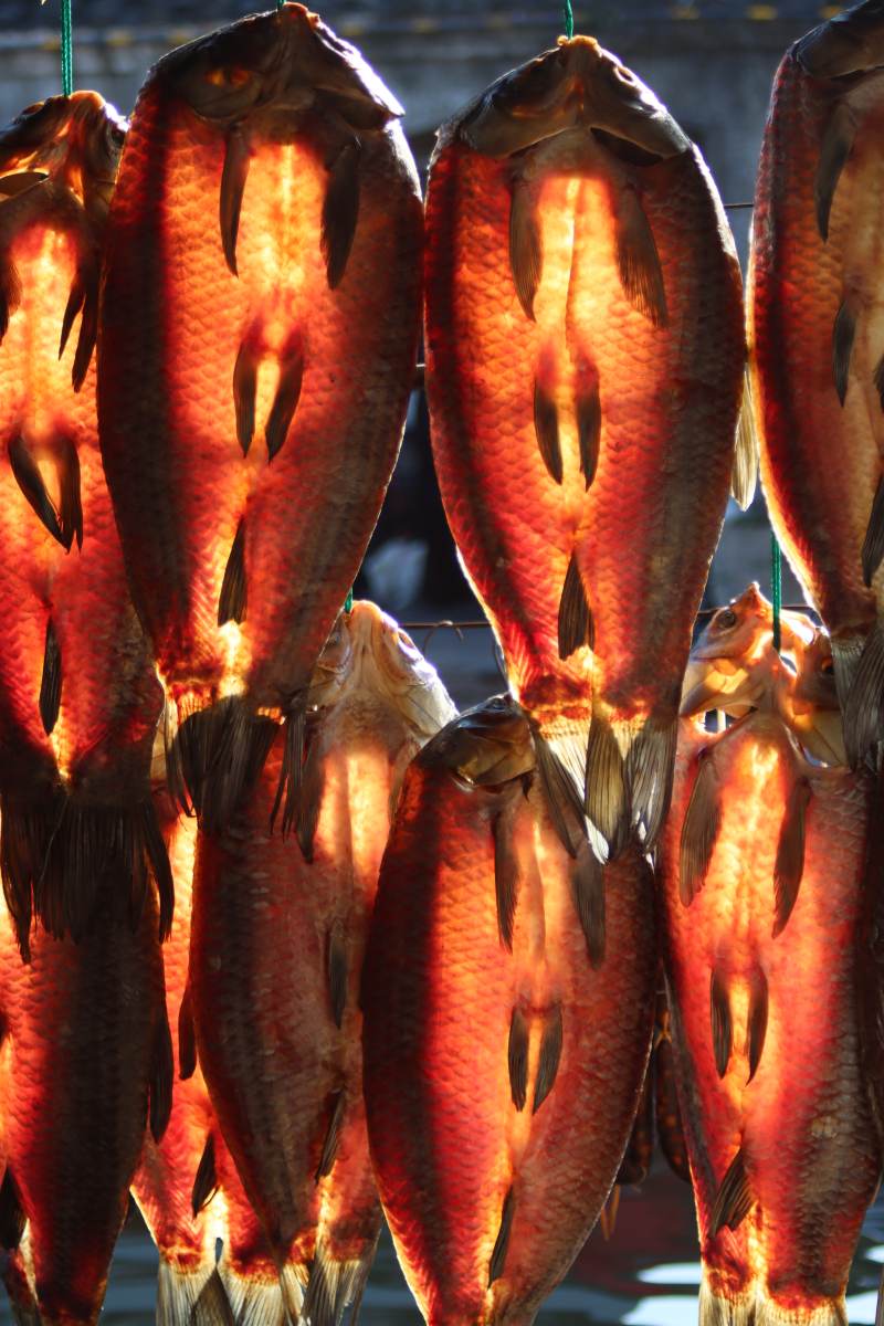 晒干的鱼图片