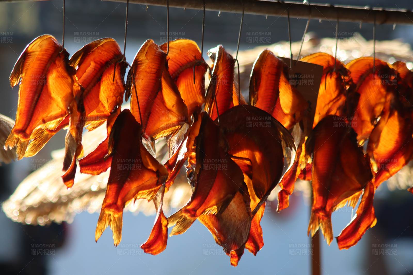 晒干的鱼片图片