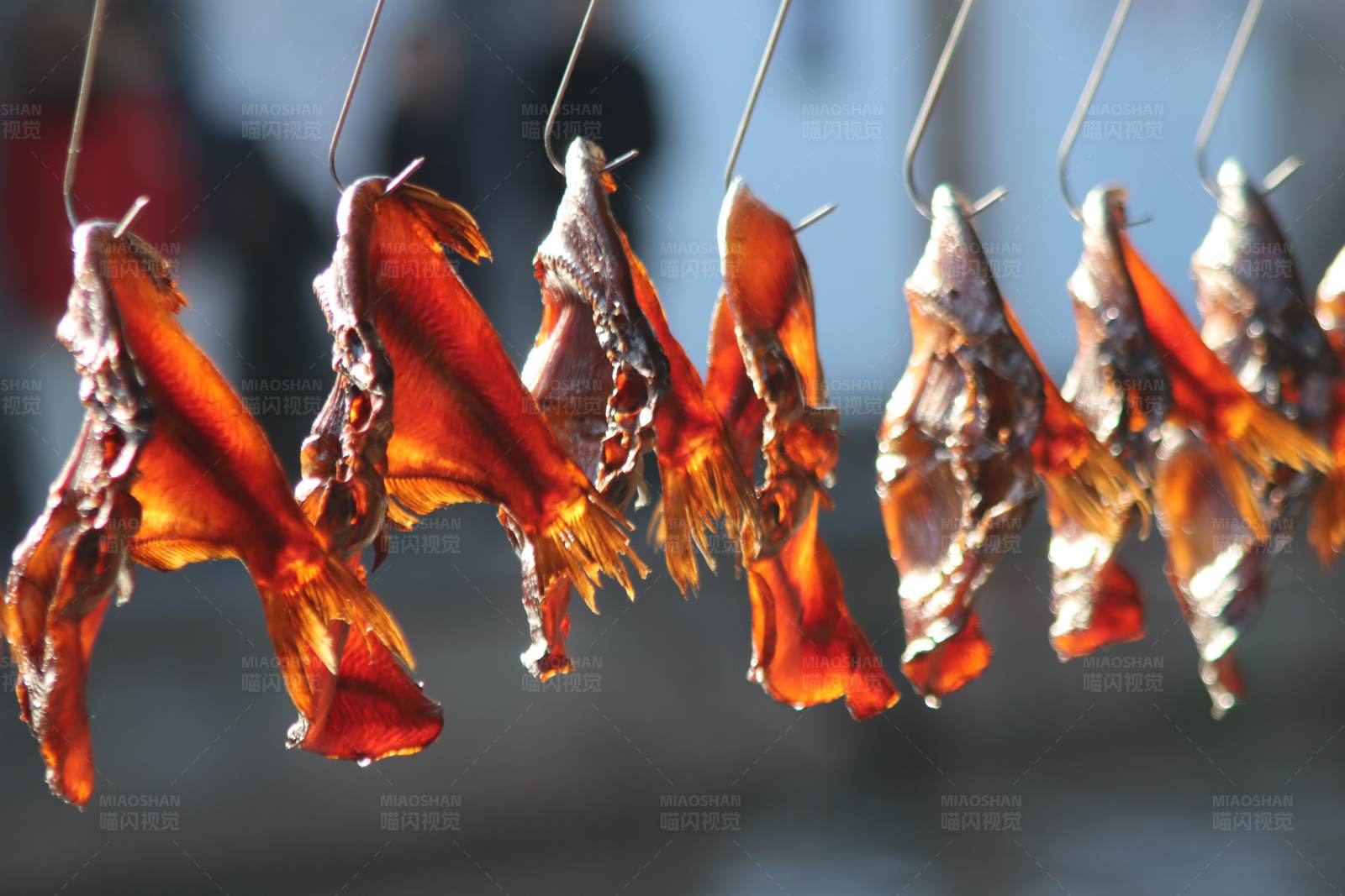 晾晒的鱼干图片