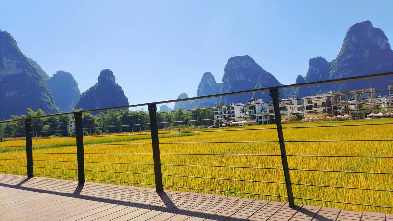 桂林山水稻田风光图片