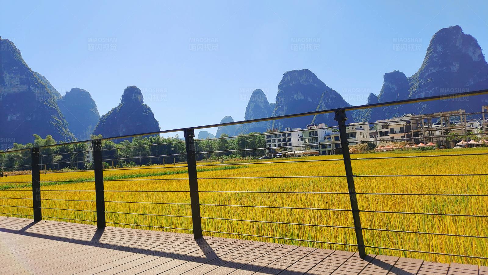 桂林山水稻田风光图片
