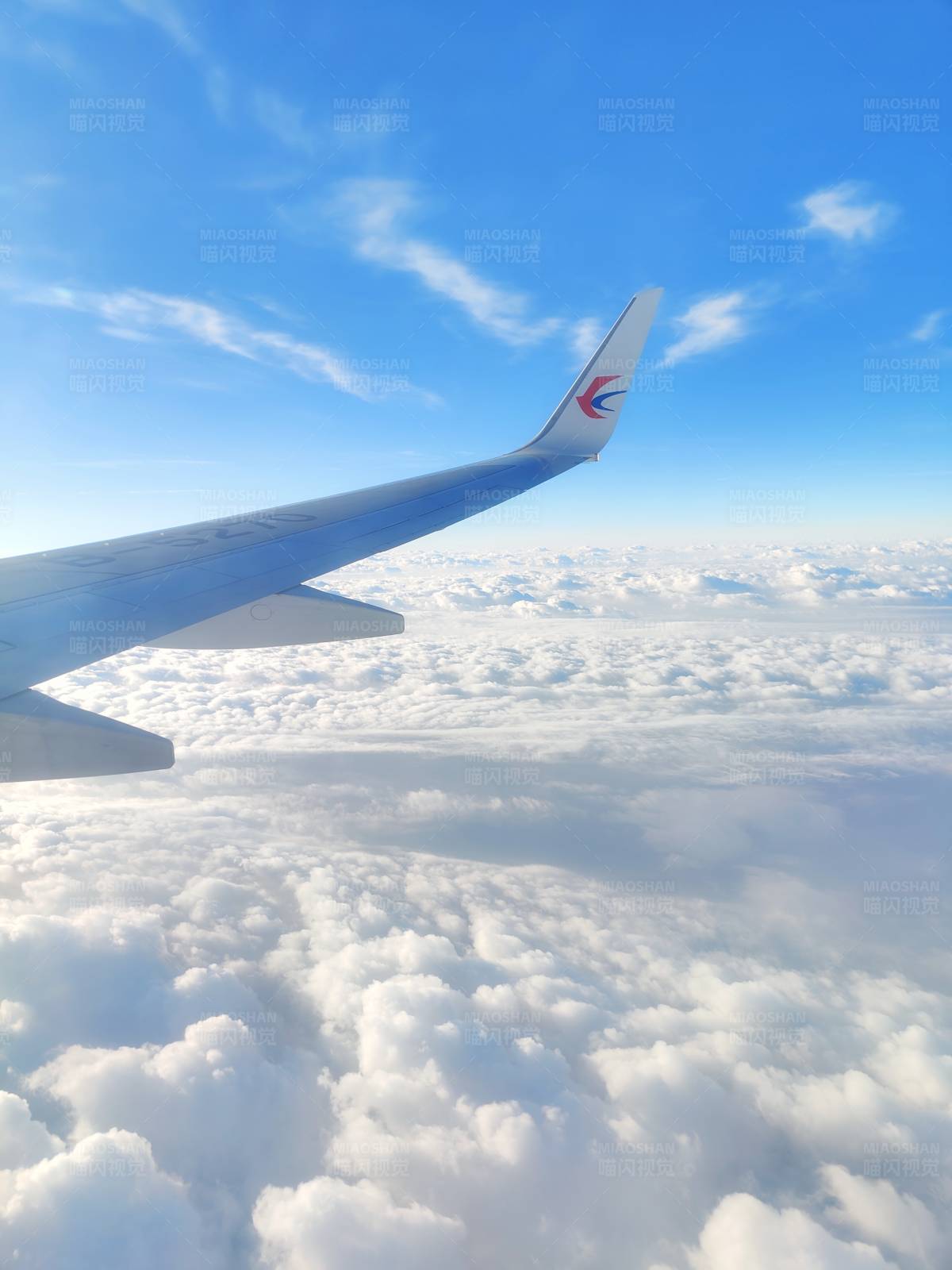 云端之上 翱翔天际图片