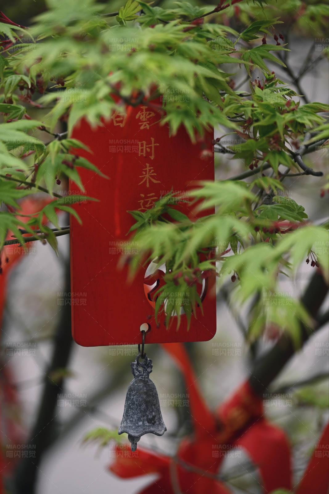 红叶祈福牌图片