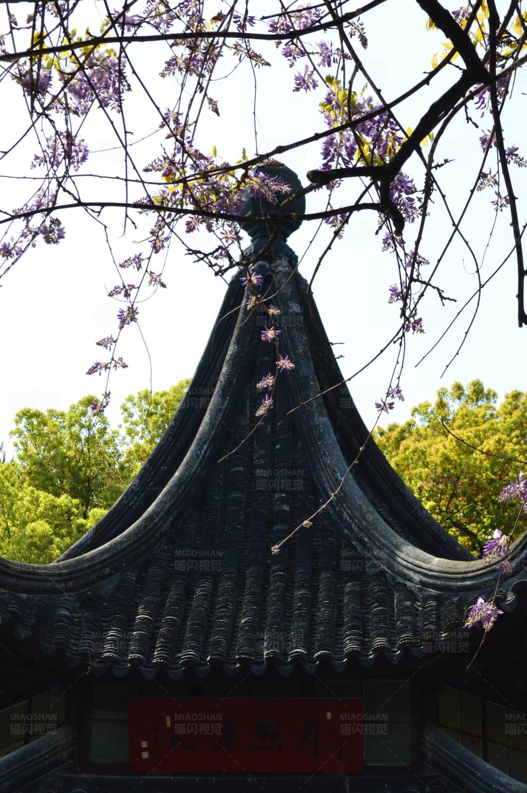 古建筑与花枝图片