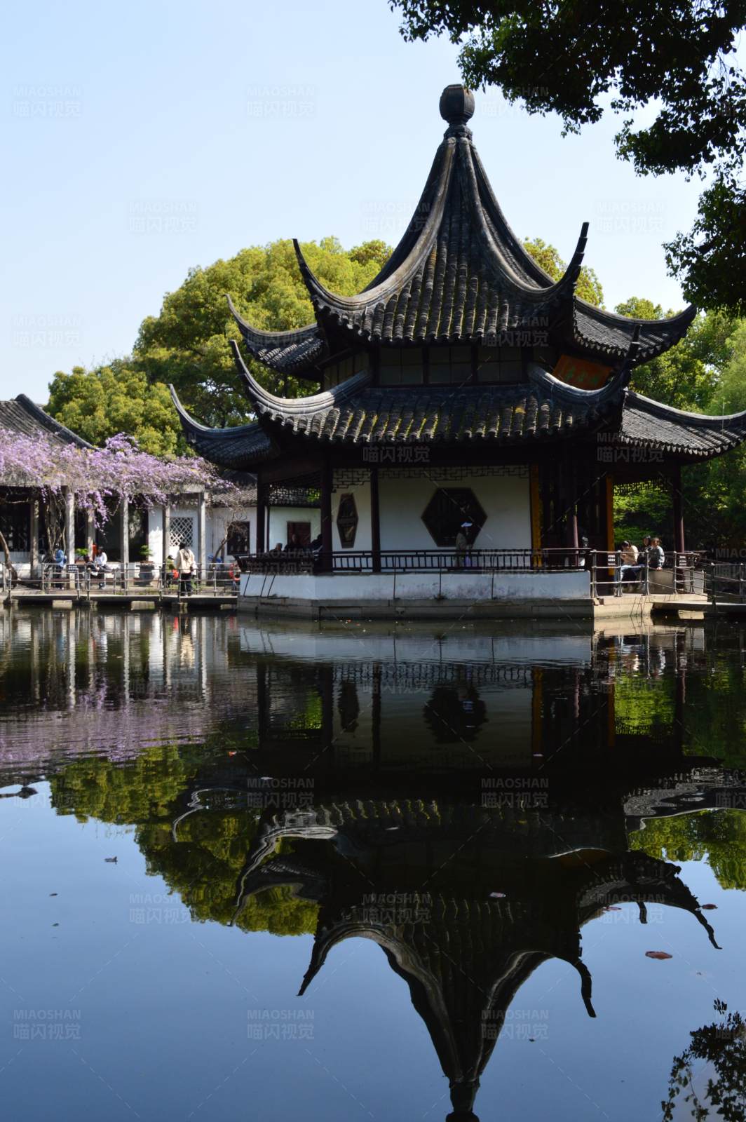 苏州西园寺后花园湖心亭图片