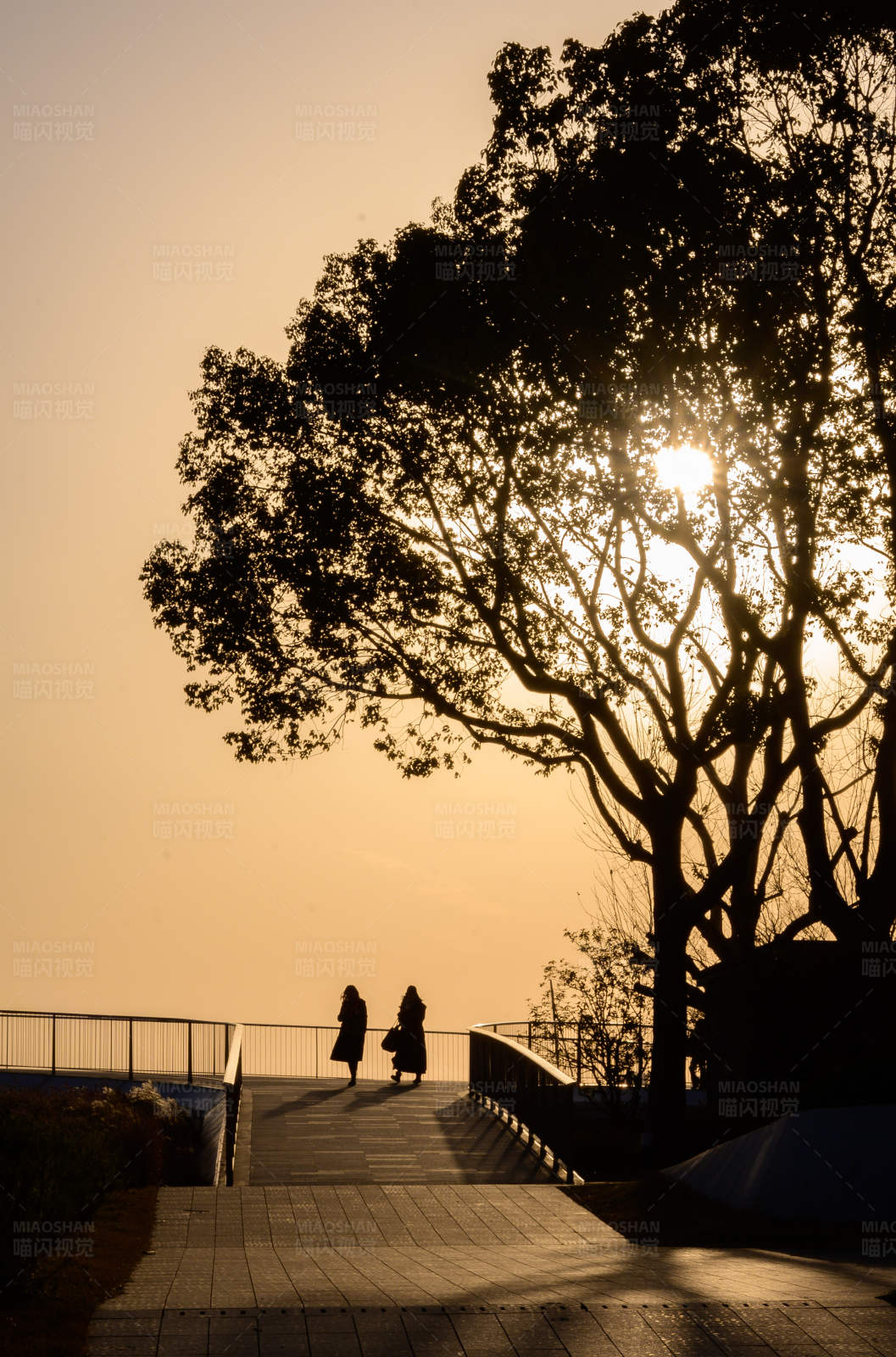 夕阳下的散步者图片