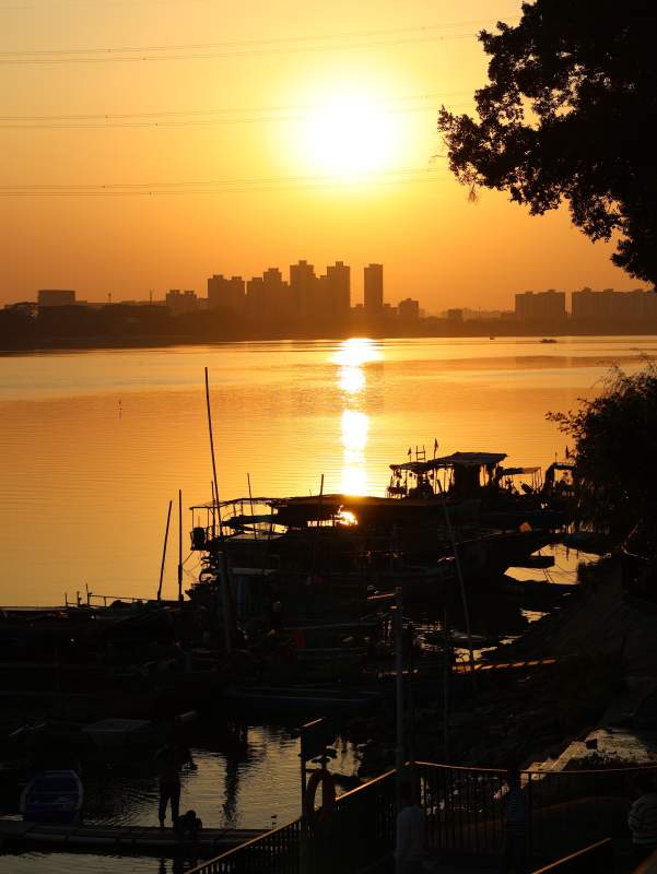 夕阳下的码头剪影图片