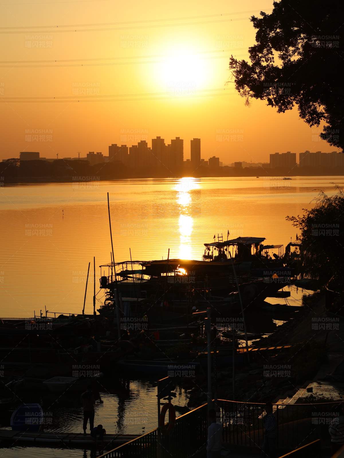 夕阳下的码头剪影图片