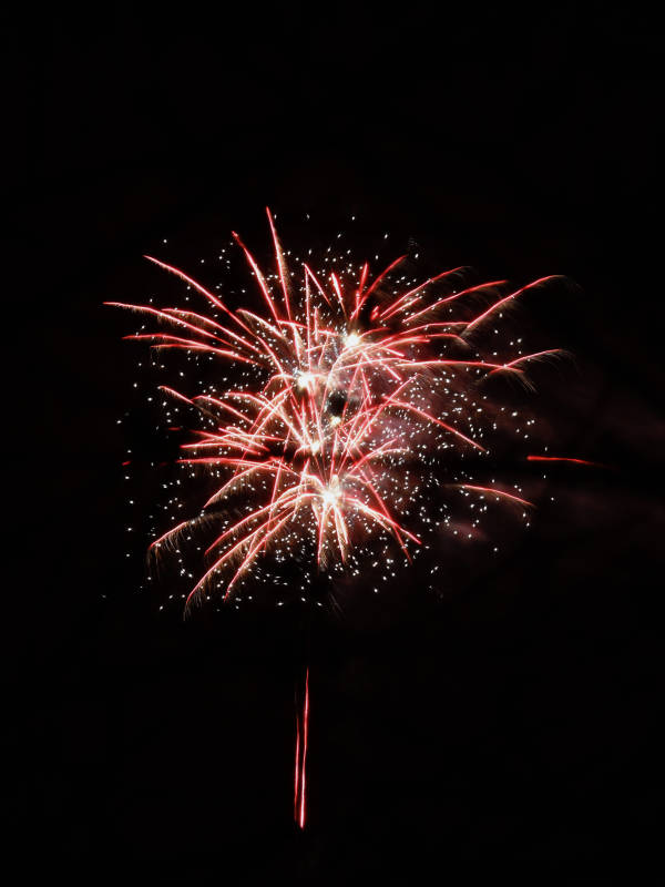 夜空中绽放的红色烟花图片