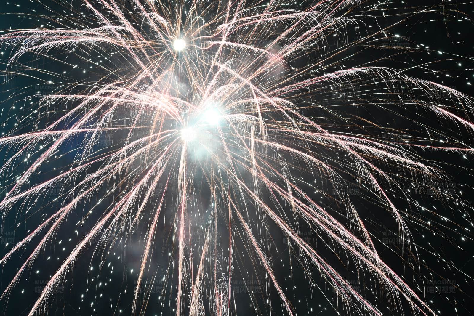 夜空中绽放的烟花图片