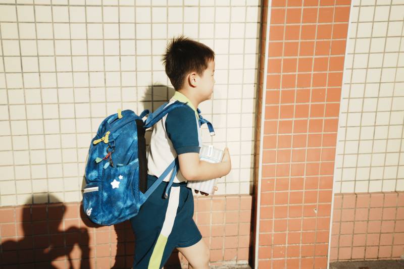 上学路上的小学生图片