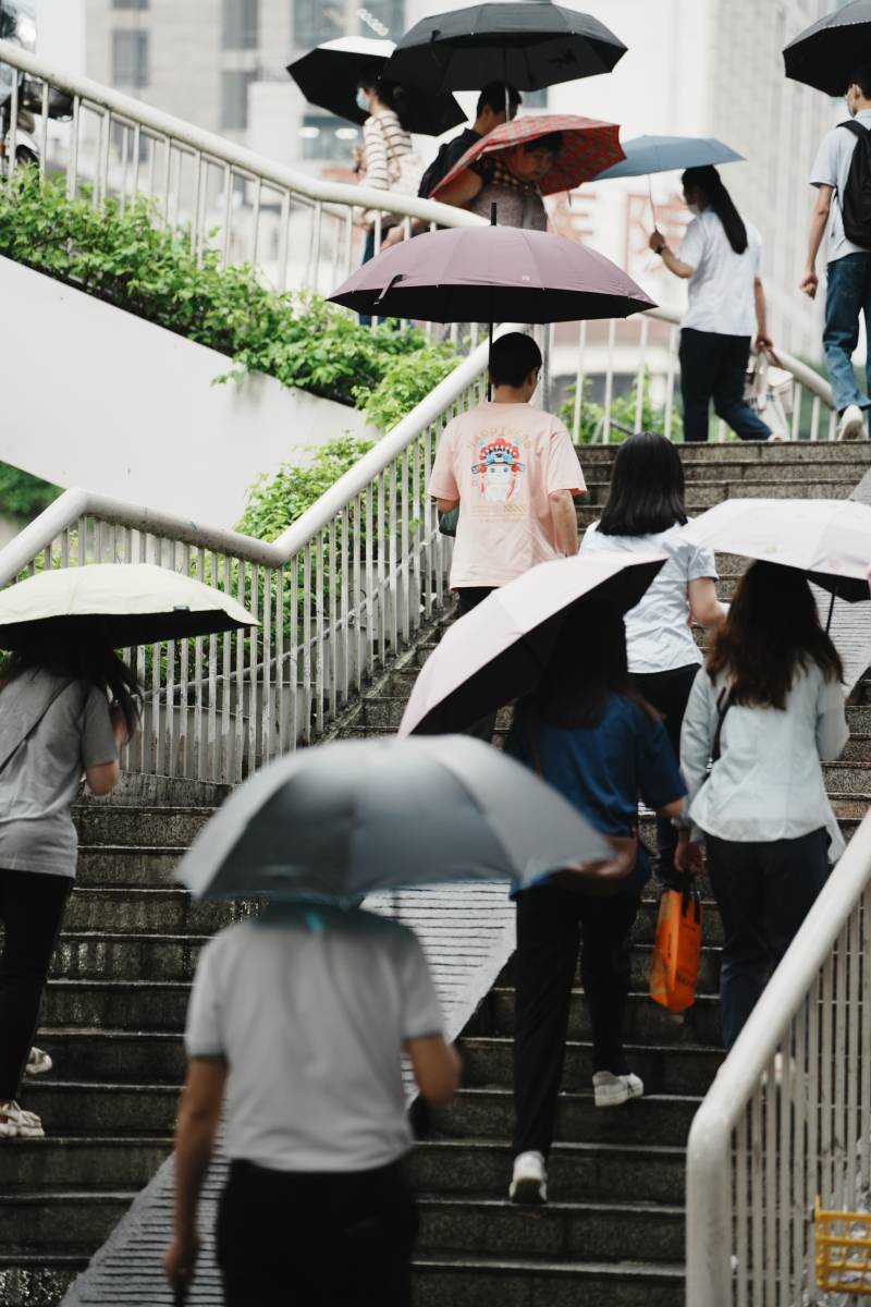 雨中行人撑伞上下楼梯图片