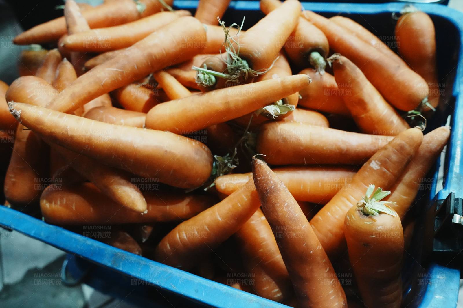 新鲜胡萝卜堆图片