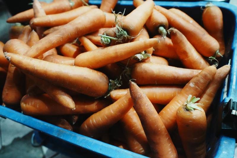 新鲜胡萝卜堆图片