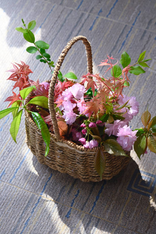 花篮里的春天图片