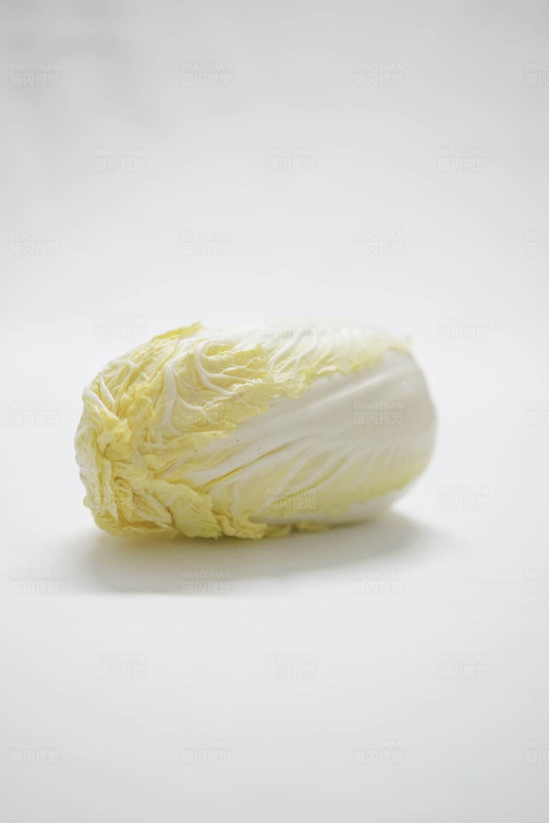 白菜的特写图片