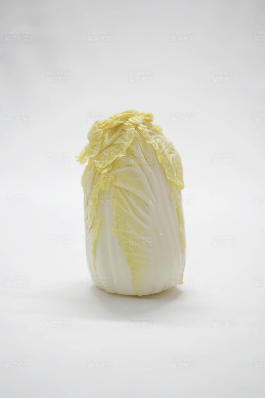 白菜的特写图片