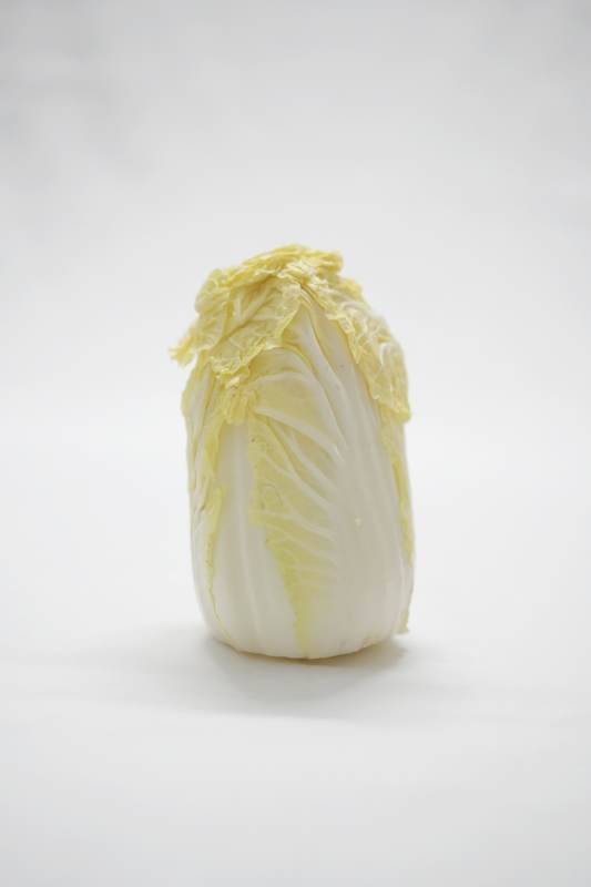 白菜的特写图片