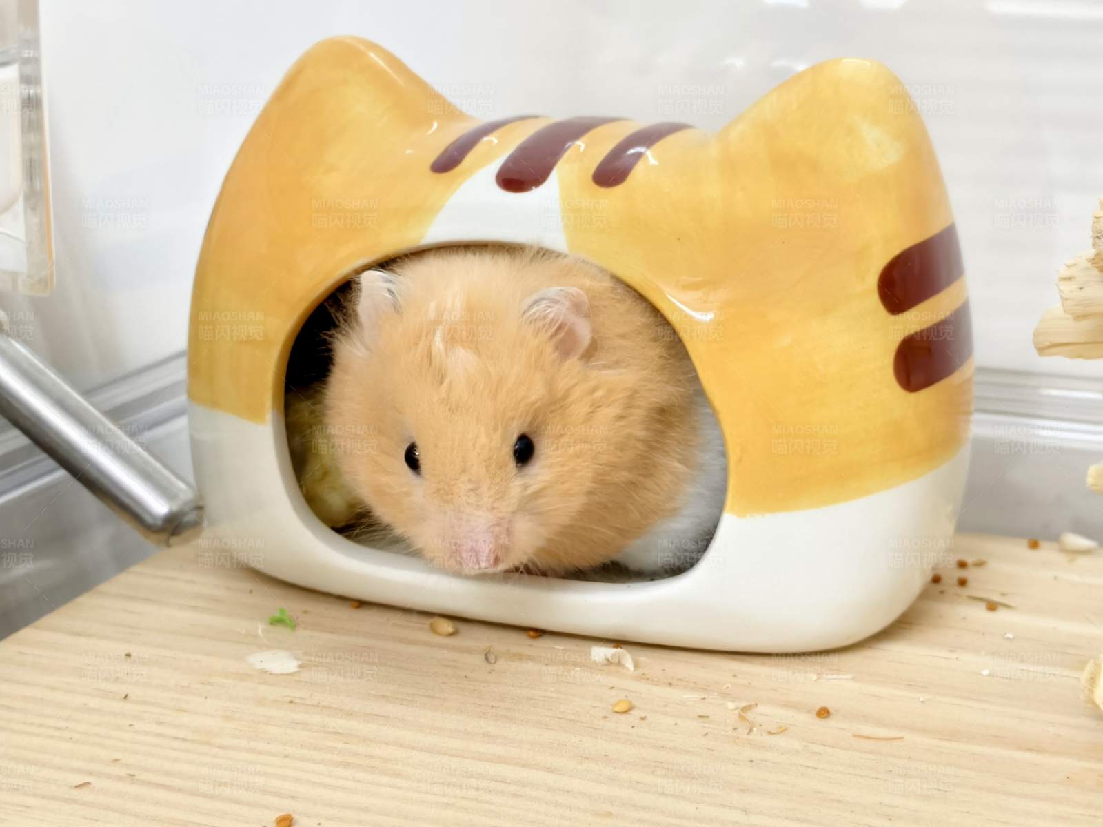 仓鼠的可爱小窝图片